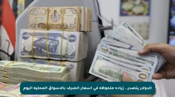 الدولار يتصدر.. زيادة ملحوظة في أسعار الصرف بالأسواق المحلية اليوم